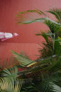 Romantic Couple Portrait with Greenery and Pink Architecture