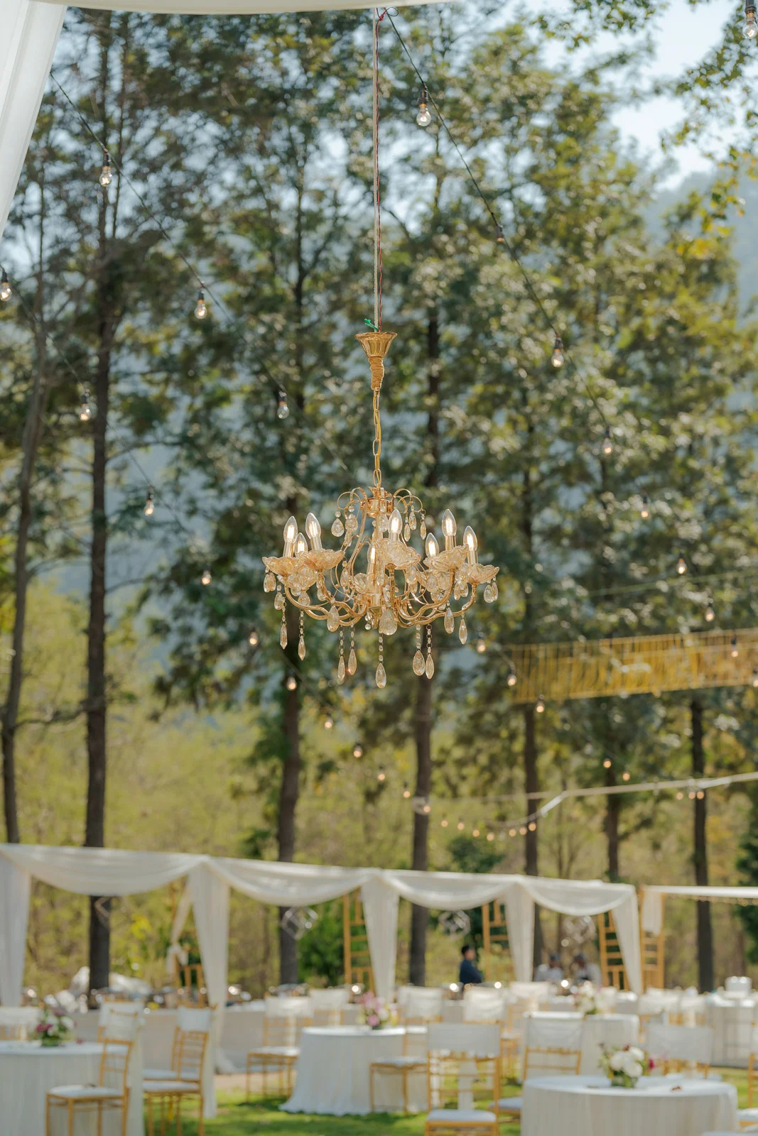 Serene Nature Landscape for a Corbett Pre-Wedding