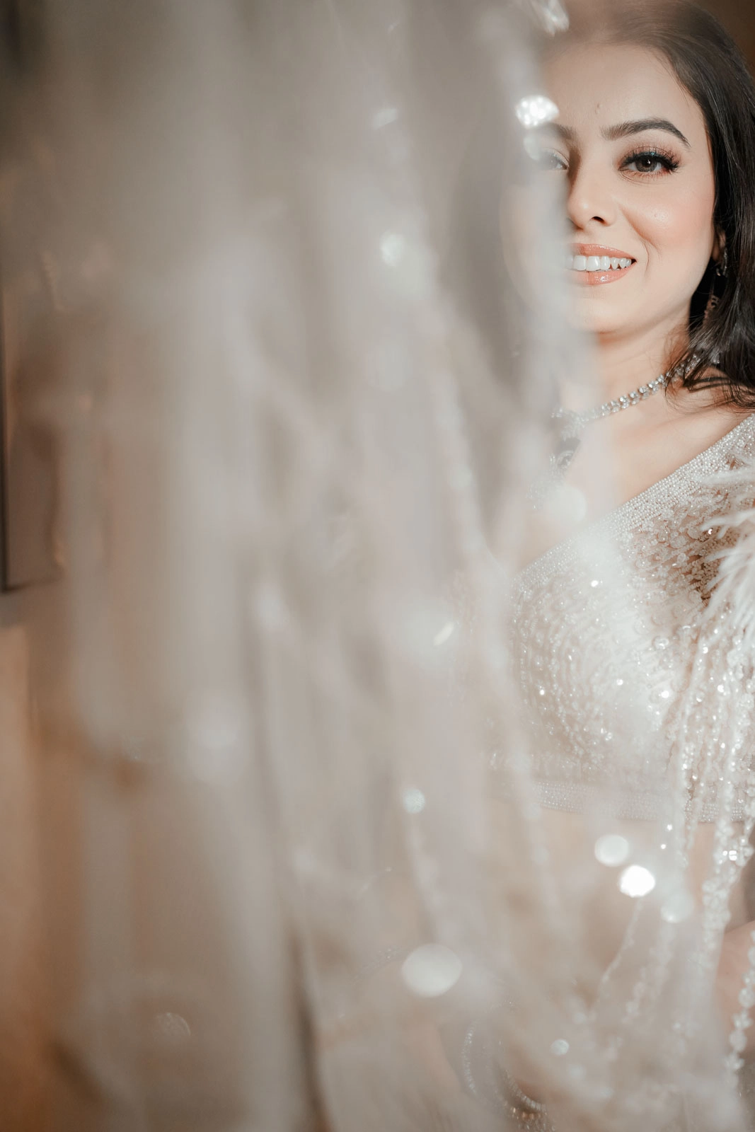Soft Bridal Portrait Through Wedding Veil