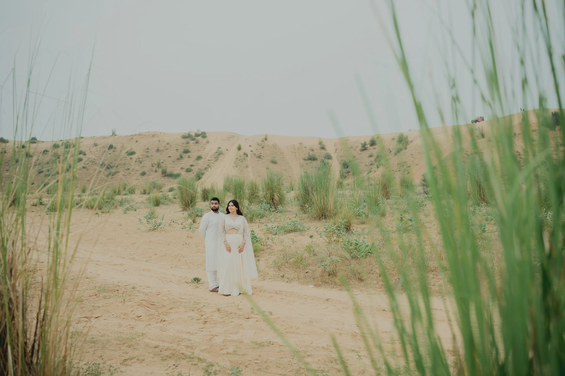 Landscape view with grasses, Jaipur pre-wedding shoot location
